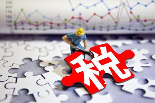 以稅收賦能市場主體 以服務(wù)激活經(jīng)濟脈動——新時代社會經(jīng)濟咨詢服務(wù)的實踐路徑